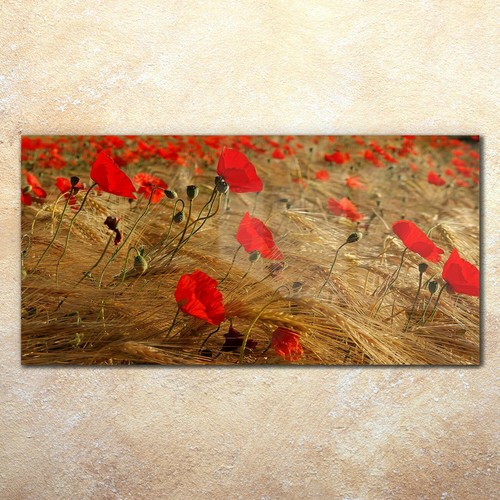 Wandbilder glasbild druck auf - glasbild,