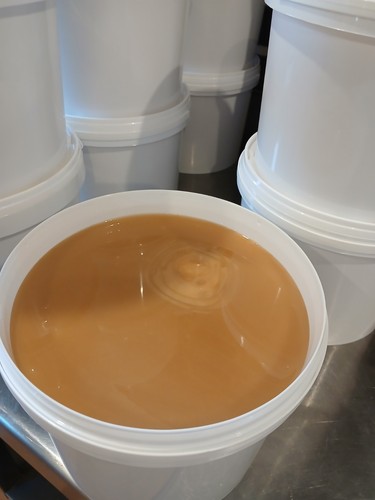 Frühtracht honig dib - 7, kg