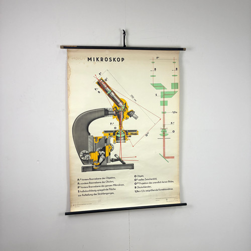 Vintage schulkarte - vintage,