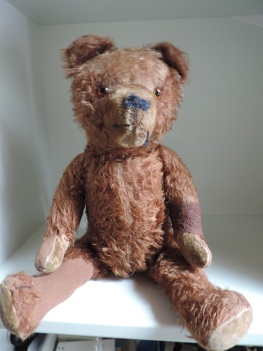 Unbekannt,Bär,Teddy,Teddybär