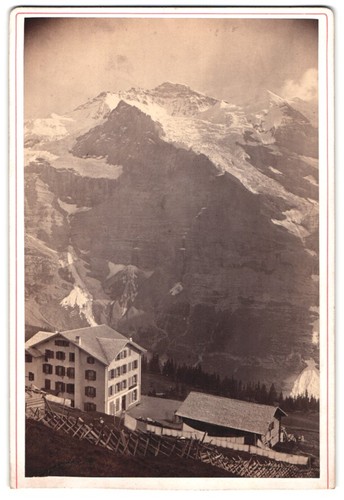 Fotografie braun dornach - fotografie, ad.