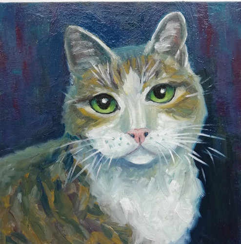 Katze öl gemälde - Öl,