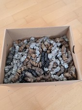 Knöpfe Konvolut über 3,5 KG sauber und sortiert