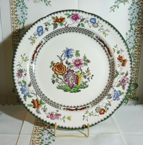 Chinese rose spode - spode,