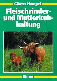 Fleischrinder und - fleischrinder-,