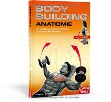 Bodybuilding anatomie der - bodybuilding, anatomie: