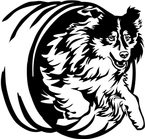 Australian shepherd aufkleber - shepherd,