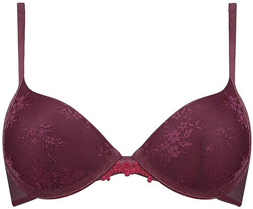 Triumph lace spotlight whpm - spotlight,
