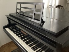 Blüthner Flügel Aliquot