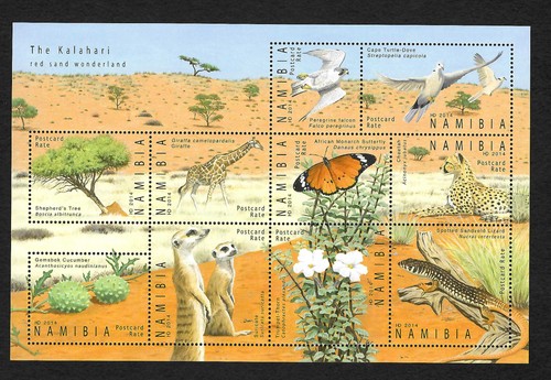 Namibia the kalahari - the, red