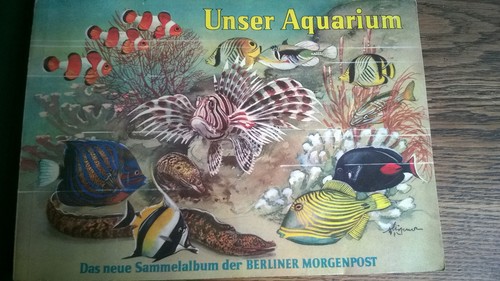 Berliner morgenpost - morgenpost,