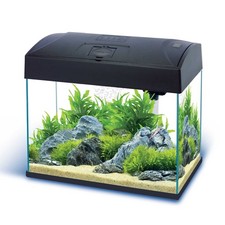 Nano aquarium aus glas - 20, l