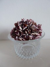 Vintage Krokus Glasschale