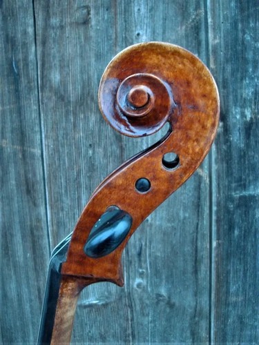 Cello alt old - cello,