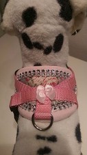 Hundegeschirr XS mit Glitzer