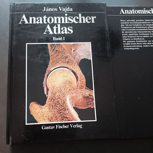 Vajda janos anatomischer - vajda,, janos: