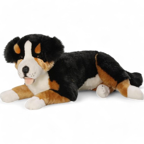 Carl dick berner sennenhund - dick,