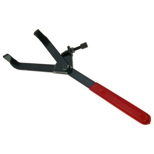 Primärtrieb buzzetti - primärtrieb,