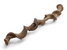 NaDeco Drachen Liane ca