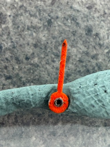 1508 used tutima lemania - tutima, 5100