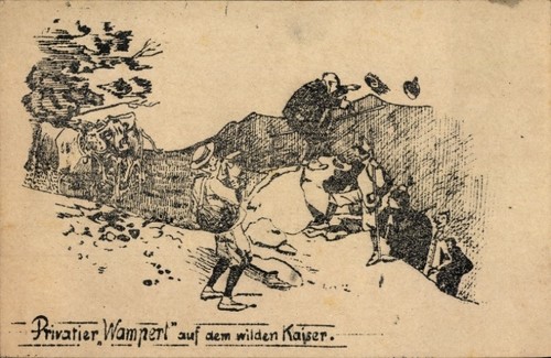 Söll tirol wilder - söll,
