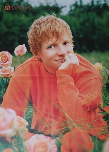 Sheeran poster xl - sheeran,