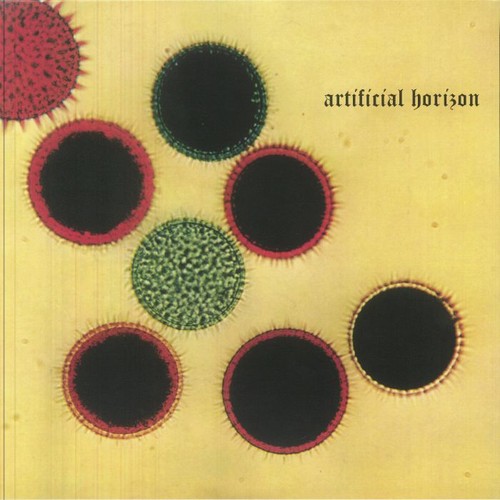 Lungfish artificial horizon - lungfish,