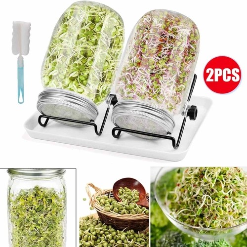 Sprossenglas set mit - sprossenglas, 2