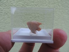 schöne Steinzeit-Pfeilspitze Neolithikum aus Algerien