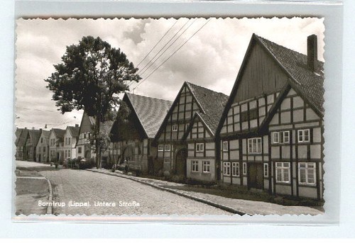 Barntrup