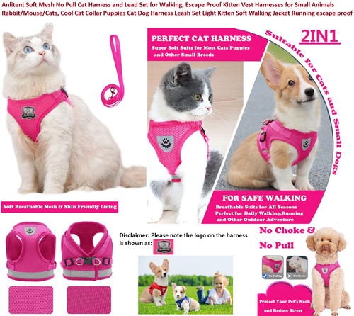 Katze hund geschirr leine - leine, set