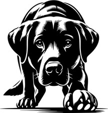 LABRADOR Aufkleber - Labrador