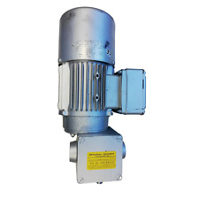 Elektromotor, mit Getriebe, Typ BLF56/4B-11, (BTCE)