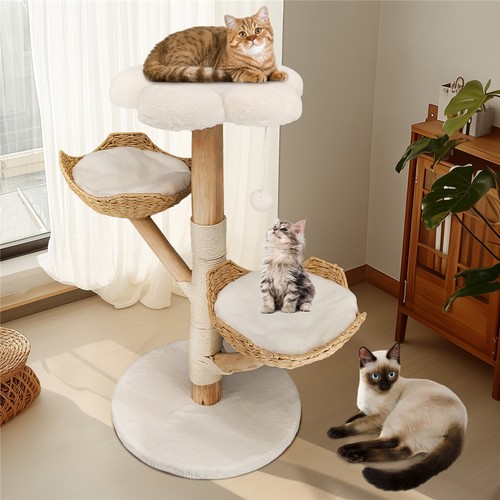 Holz katzenbaum große katzen - große,