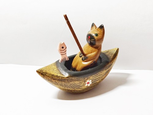 Katze angelt fisch - im, boot-