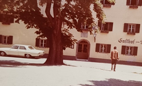 Mann steht vor gasthof baum - steht,