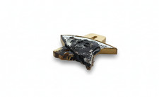 Star Trek Starfleet Combadge