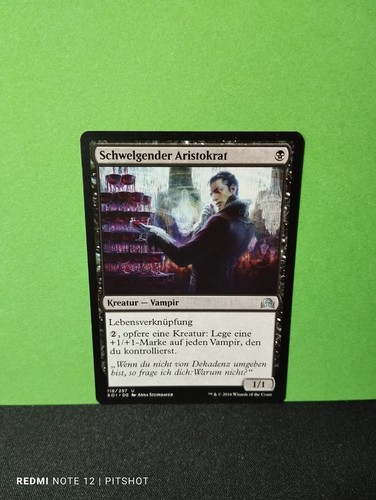 Schwelgender aristokrat - aristokrat, /