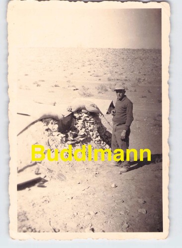 Foto afrika korps soldat - foto,