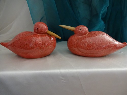 Edle enten entenpaar rot - enten,