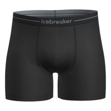 ICEBREAKER - Mens Anatomica