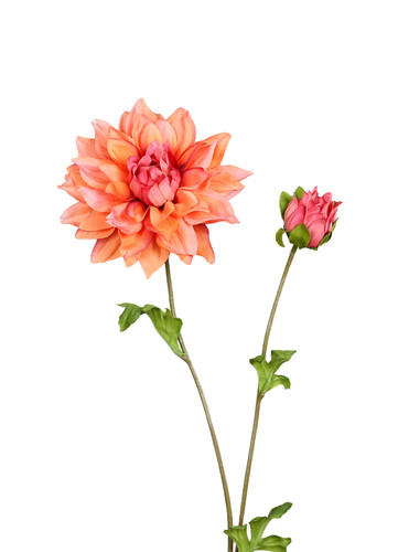 Künstlicher dahlien zweig - dahlien,