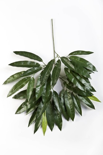 Artplants deko mangozweig - artplants,
