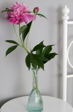 Vase Blumenvase Glas hoch