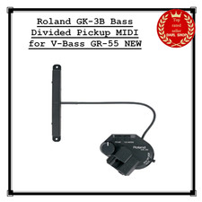 Roland GK-3B Bass Divided