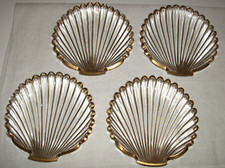 4 antike besondere Muscheln