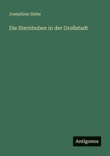 Die Sternbuben in der Grostadt