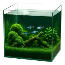 Würfel aquarium 35x35x35 - aquarium,