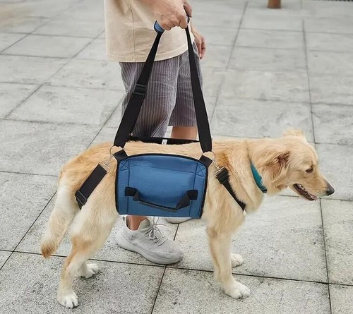 Hundetragetasche tragehilfe - hundetragetasche,