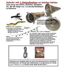 1 Aalrohr Aalreuse Aalreusen